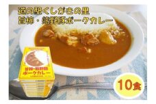 旨柿・熊野豚ポークカレー 10食セット【くしがきの里オリジナル】【寄附のご入金後、２週間以内を目途に発送いたします。】