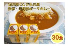 旨柿・熊野豚ポークカレー 30食セット【くしがきの里オリジナル】【寄附のご入金後、２週間以内を目途に発送いたします。】