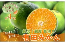 【先行予約】厳選 青切り有田みかん 約4kg【サイズ混合】【和歌山県産】【2024年9月中旬より発送】