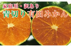 【先行予約】【訳あり・ご家庭用】青切り有田みかん(ご家庭用)  約5kg【2024年9月中旬より発送】