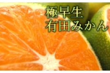 【先行予約】厳選 極早生有田みかん 約4kg【サイズ混合】【2024年10月上旬より発送】