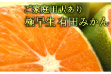 【先行予約】【訳あり・ご家庭用】極早生有田みかん 約10kg【和歌山県産】【訳あり】【2024年10月発送】