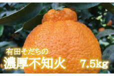 【訳あり・ご家庭用】濃厚 不知火 和歌山県産 約7.5kg【先行予約】【2025年2月上旬～3月下旬発送】