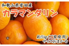 【訳あり・ご家庭用】【春みかん】和歌山有田産カラマンダリン約5kg(サイズ混合　ご家庭用)【2026年4月上旬～2026年5月中旬頃より順次発送】【TM141】