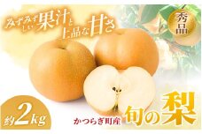 和歌山県産 旬の梨 約2kg【2025年8月中旬～9月中旬頃まで順次発送】