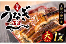 大型サイズ　ふっくら柔らか　国産うなぎ蒲焼き　１尾（約2人前）化粧箱入【土用の丑の日までにお届け】【UT04】