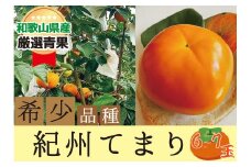 希少品種の柿〇紀州てまり〇6～7玉入り【2025年10月下旬～2025年11月中旬頃に順次発送】