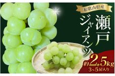 瀬戸ジャイアンツ 約 2.5kg ★数量限定・大人気★【2025年8月下旬～2025年9月中旬頃順次発送】