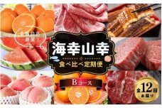 【魚鶴商店厳選！】人気の海幸山幸食べ比べ【定期便全12回】セットB【UT110】