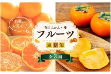 【魚鶴商店厳選】和歌山人気のフルーツ定期便（柿・みかん）【定期便全3回】【UT115】