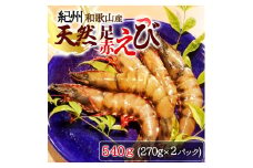 紀州和歌山産天然足赤えび 約540g（約270g×2パック）　化粧箱入【2025年11月末頃から2026年2月上旬頃に順次発送】【UT23】