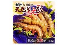紀州和歌山産天然足赤えび 約540g×2箱（約270g×4パック）　化粧箱入【2025年11月末頃から2026年2月上旬頃に順次発送】【UT24】