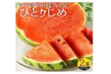紀州和歌山産 小玉スイカ「ひとりじめ」 2玉【2026年6月上旬頃～2026年7月上旬頃に順次発送】【UT86】