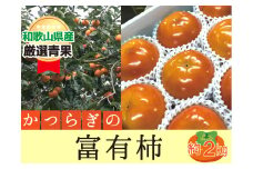 柿 富有柿【秀品】和歌山県産 約2kg【2025年11月中旬から2025年12月上旬発送】