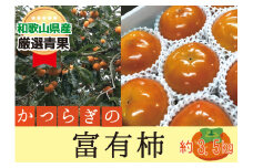 柿 富有柿【秀品】和歌山県産 約3.5kg【2025年11月中旬から2025年12月上旬発送】