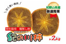 特別栽培 紀の川柿 約2kg 【2025年10月中旬～2025年11月上旬頃より順次発送】