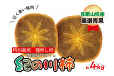 特別栽培 紀の川柿 約4kg 【2025年10月中旬～11月上旬頃に順次発送】