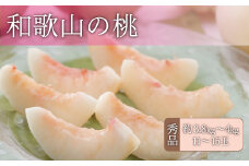 和歌山の桃 秀品 約3.8～4kg (サイズ・品種おまかせ) 【2025年6月中旬～8月中旬頃お届け予定】【TC1】