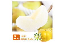 梨 約2kg 化粧箱入 紀州和歌山 かつらぎ産【2025年8月下旬頃から9月下旬頃発送予定】【UT103】
