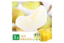 梨 3玉 化粧箱入 紀州和歌山 かつらぎ産【2025年8月下旬頃から9月下旬頃発送予定】【UT98】