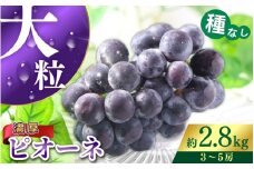 種なしピオーネ 約 2.8kg 【2025年8月下旬～9月中旬頃発送予定】