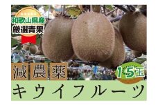 キウイフルーツ 秀品 ヘイワード 15玉【2024年11月下旬～2025年4月下旬発送】