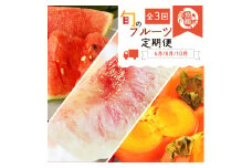 【6・8・10月 全3回】和歌山産 旬のフルーツのお楽しみ 定期便 【魚鶴商店】【UT112】