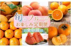 【2・4・6・8・10・12月 偶数固定月発送 全6回】和歌山産 旬のフルーツ お楽しみ 定期便 【魚鶴商店】【UT113w】