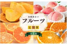 魚鶴商店のフルーツ定期便（みかん・オレンジ・桃・柿）【発送月固定 定期便 全4回】