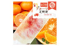 魚鶴商店のフルーツ定期便（みかん・オレンジ・桃）【発送月固定 定期便 全3回】