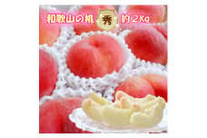 【秀品】和歌山ブランド白桃 約2kg！ 2025年6月発送分【2025年6月中旬から6月下旬頃順次発送】【NGT5】