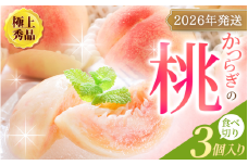 桃 極上秀品 食べきりやすい３個入 【先行予約】こだわり農家厳選！【2026年6月末から7月末順次発送】【KG1】