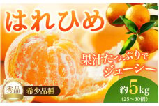 はれひめ（ミカンの希少種） 秀品  約5ｋｇ（25個～30個入）【先行予約】【2025年12月中旬頃から2026年2月初旬頃発送予定】/ みかん フルーツ 果物 柑橘 和歌山 【KG3】