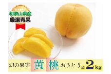 幻の黄桃(黄貴妃) 約2kg 【濃厚】 先行予約 【9月上旬～中旬発送】