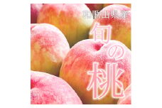 和歌山県産 旬 の 桃 5～6玉入り 秀品【2025年6月下旬から8月上旬頃発送】