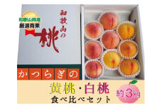 ★かつらぎの黄桃・白桃食べ比べセット★ 9～12玉【2025年6月下旬～2025年8月上旬頃順次発送】