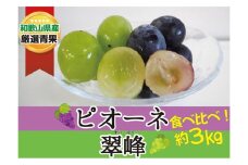 旬食べ比べ！ピオーネ＆翠峰 約3kg 【2025年8月下旬～9月下旬頃発送予定】