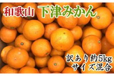 【訳あり】和歌山下津みかん 約5kg ご家庭用向け(サイズ混合) 【2025年11月中旬から2026年1月下旬頃順次発送】【TM77】