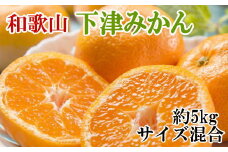 【秀優混合品】和歌山下津みかん約5kg（サイズ混合）【2024年11月中旬頃より順次発送】【TM71】