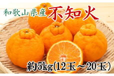 和歌山県産不知火約5kg（12玉～20玉おまかせ）2L～5Lサイズ【2026年2月下旬～2026年4月中旬頃に順次発送予定】【TM131】【tec955】