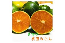 厳選 青切り有田みかん 約2kg 【先行予約】【2024年9月中旬～10月中旬発送】【MS20】