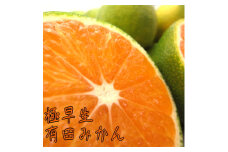 厳選 極早生 有田みかん 約2kg 【先行予約】【2024年10月上旬～下旬頃発送】【農家直送】