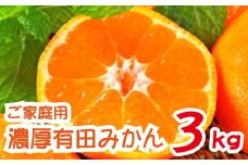 農家直送 完熟 有田みかん 約3kg【先行予約】【2024年12月発送】【MS10-2】