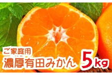 農家直送 完熟 有田みかん 約5kg【先行予約】【2024年12月発送】【MS11-2】