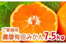 農家直送 完熟 有田みかん 約7.5kg【先行予約】【2024年12月発送】【MS12-2】