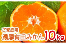農家直送 完熟 有田みかん 約10kg【先行予約】【2024年12月発送】【MS13-2】