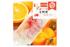 紀州和歌山産 旬にお届け！フルーツセット（不知火・桃・富有柿）【UT59w】