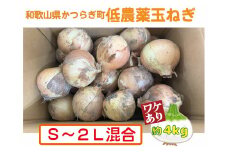 【2026年発送分・先行予約】【訳あり】農家さん直送　低農薬玉ねぎ　約4kg　S～2L混合【2026年4月中旬～7月中旬発送予定】