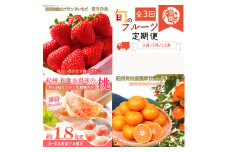 【2～3・7・12月 全3回】紀州和歌山産旬のフルーツセット（いちご・桃・有田みかん）定期便 【魚鶴商店】【UT70】