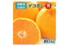 【秀品】和歌山有田のデコポン！約5kg【2025年1月下旬以降順次発送】【NGT2】